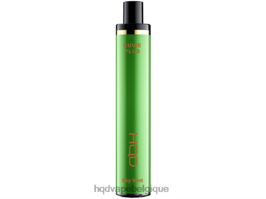 menthe céleste