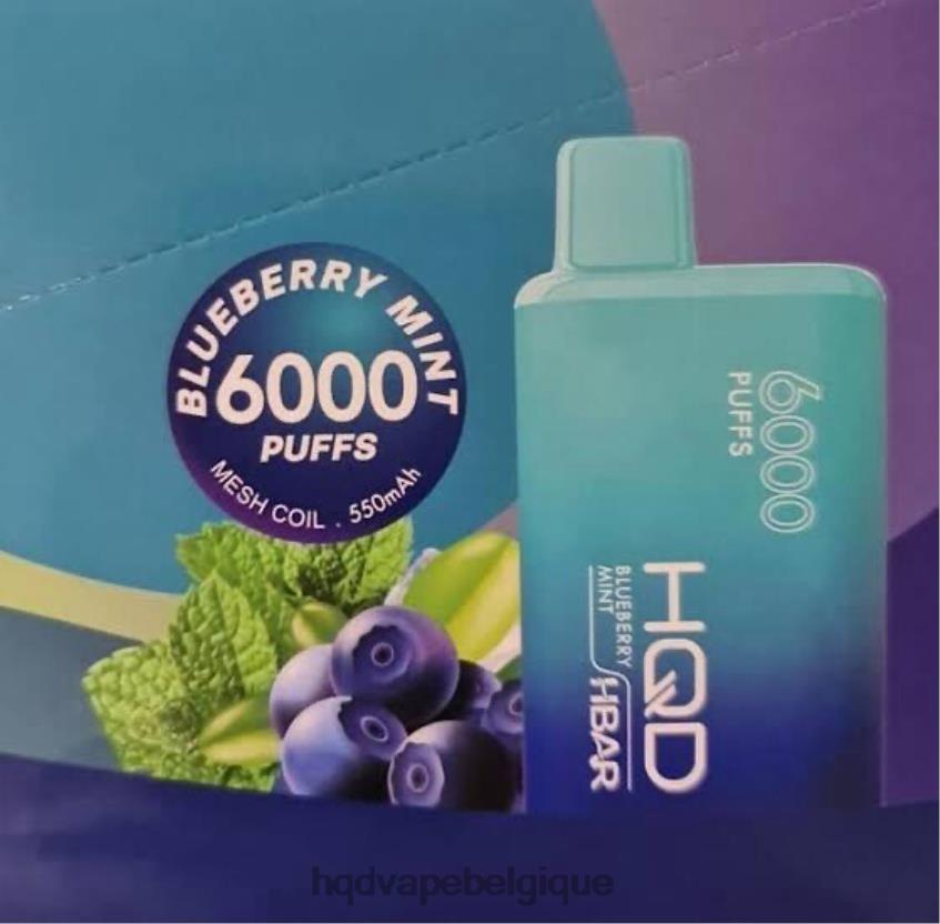 menthe myrtille